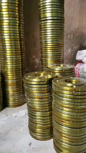 Mild Steel Flanges