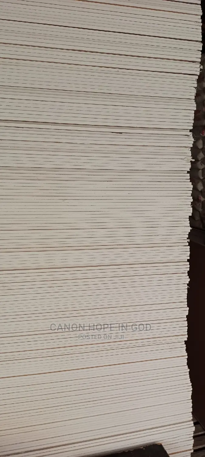 Gypsum/Plaster Board 12mm/3m
