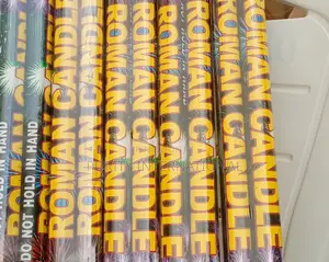 20 Shorts Fireworks