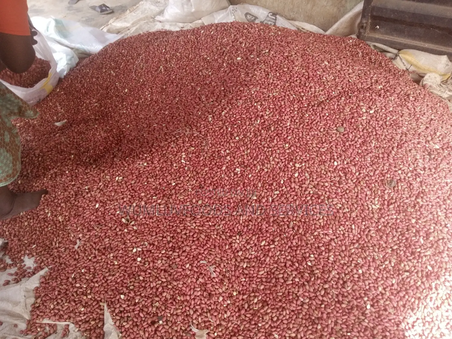 Groundnut Available in Varieties