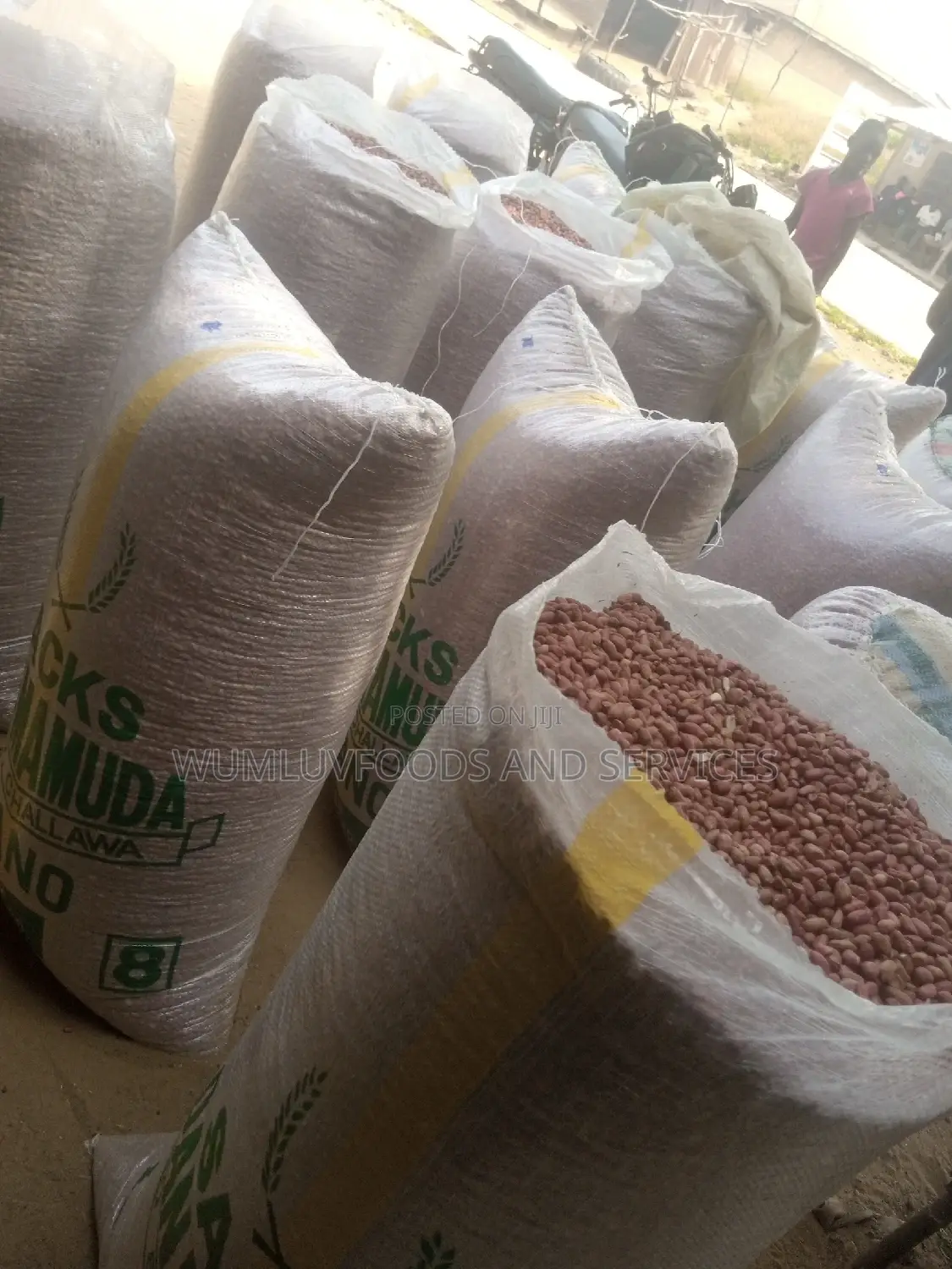 Groundnut Available in Varieties