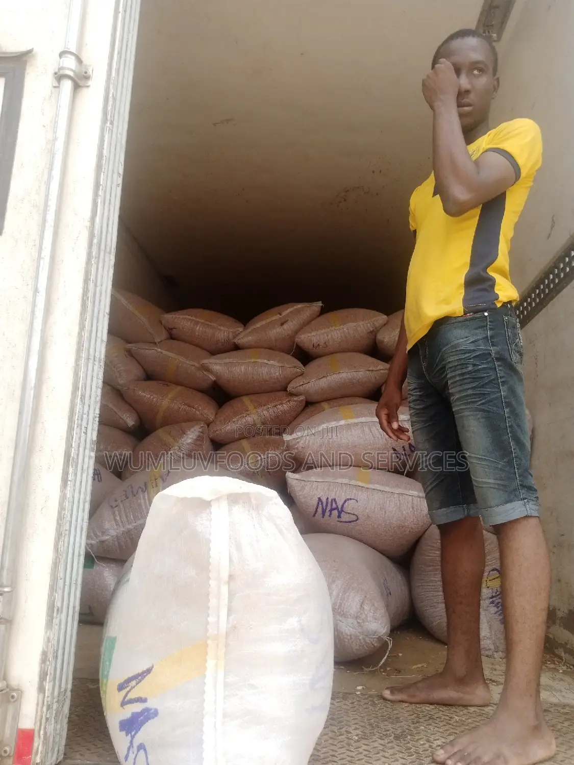 Groundnut Available in Varieties