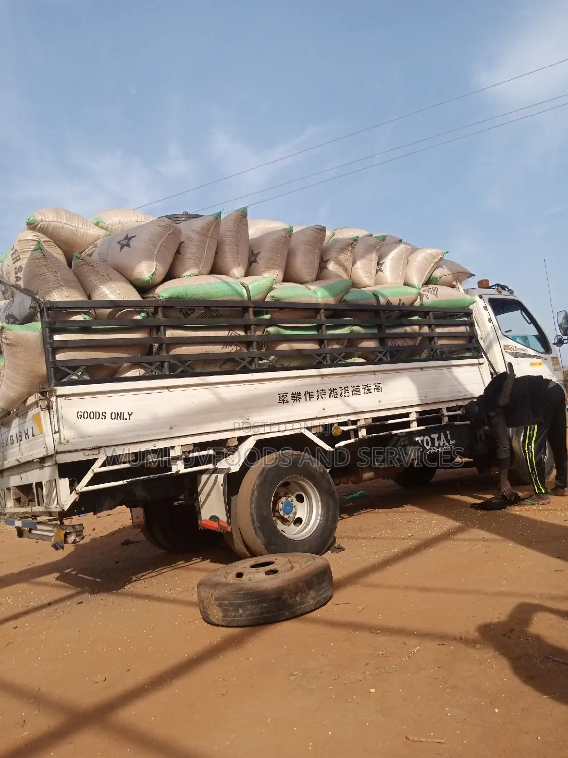 Groundnut Available in Varieties