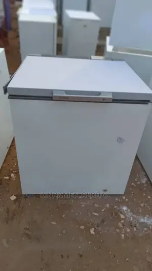 Low Energy High Quality Deep Freezer