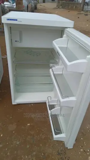 High Quality Liebherr Table Top Fridge-Freezer
