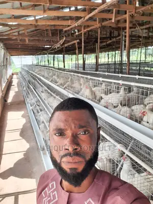Broilers Cage