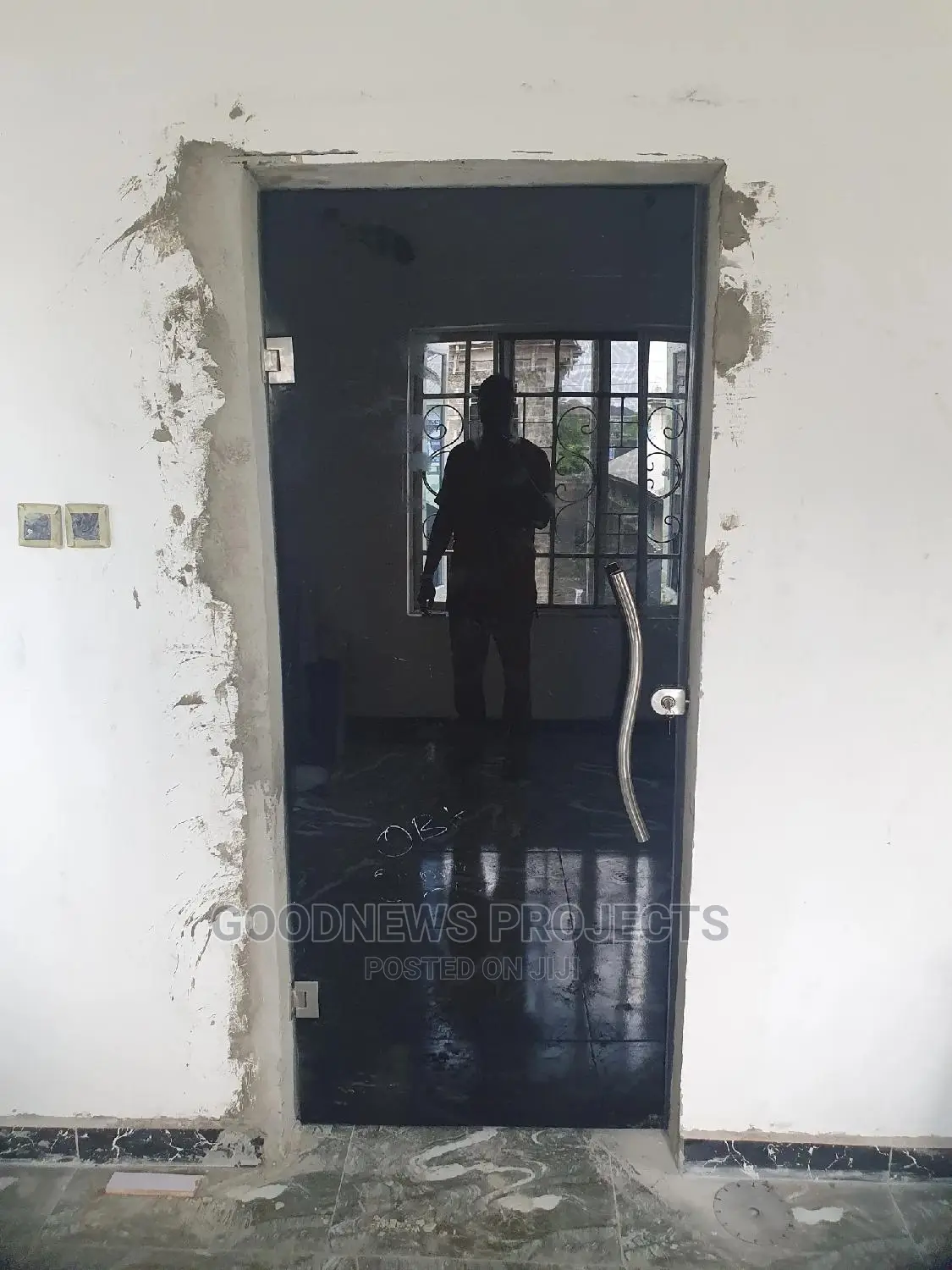 Frameless Single Black Glass Door