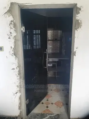 Frameless Single Black Glass Door