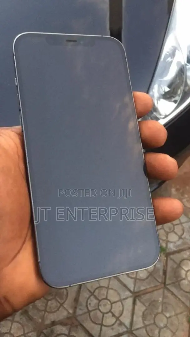 Apple iPhone 12 Pro Max 128 GB Gray
