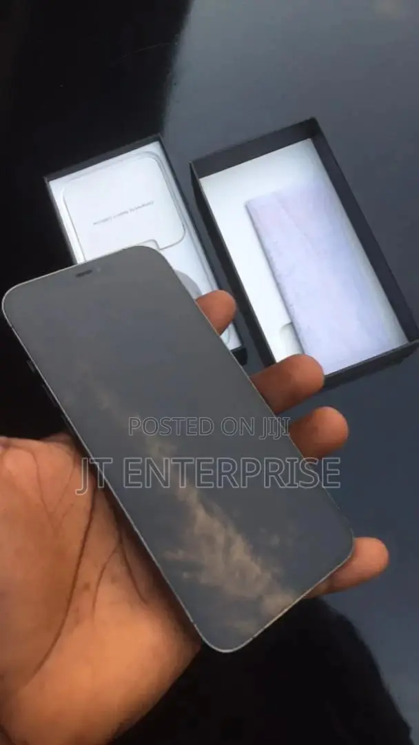 Apple iPhone 12 Pro Max 128 GB Gray