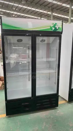 Double Door Industrial Display Freezer