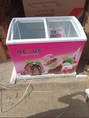 315 Liters Nexus Ice Cream Display Fridge
