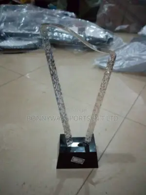 Awards Glasses