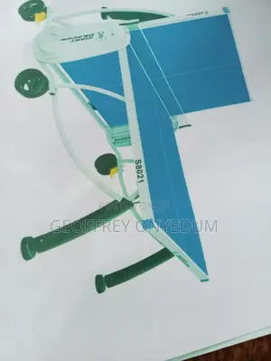 Table Tennis Giant Dragon Outdoor