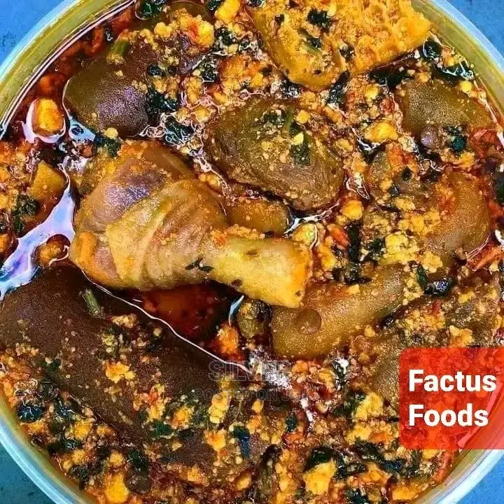 Private Chef/ Office Cook