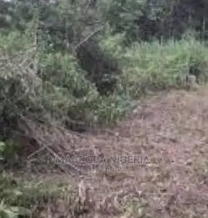703 Sqm Land for Sale in Executive Estate