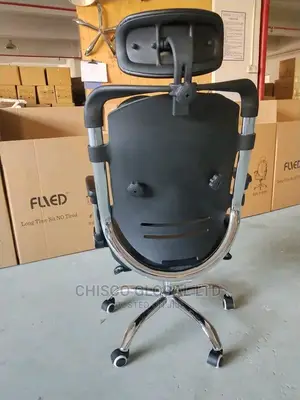 Office Chair (Orthopedic)