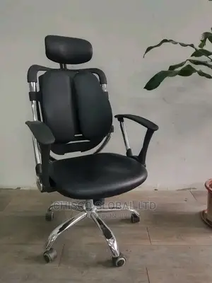 Office Chair (Orthopedic)