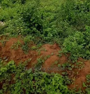 1000 SQM Land at Fountain Springville Estate