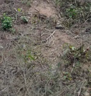 JOINT VENTURE 1478sqm Bareland at Ikota Villa GRA