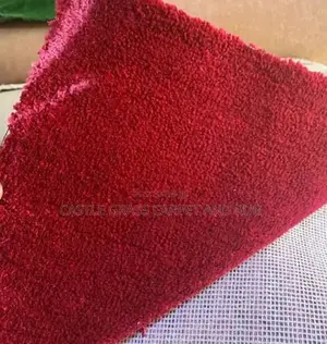 Home Decor Rug Carpet