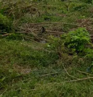 Acre of Land (Cornerpiece) in the Heart of Ogba