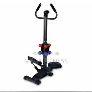 Standing Stepper With Twister