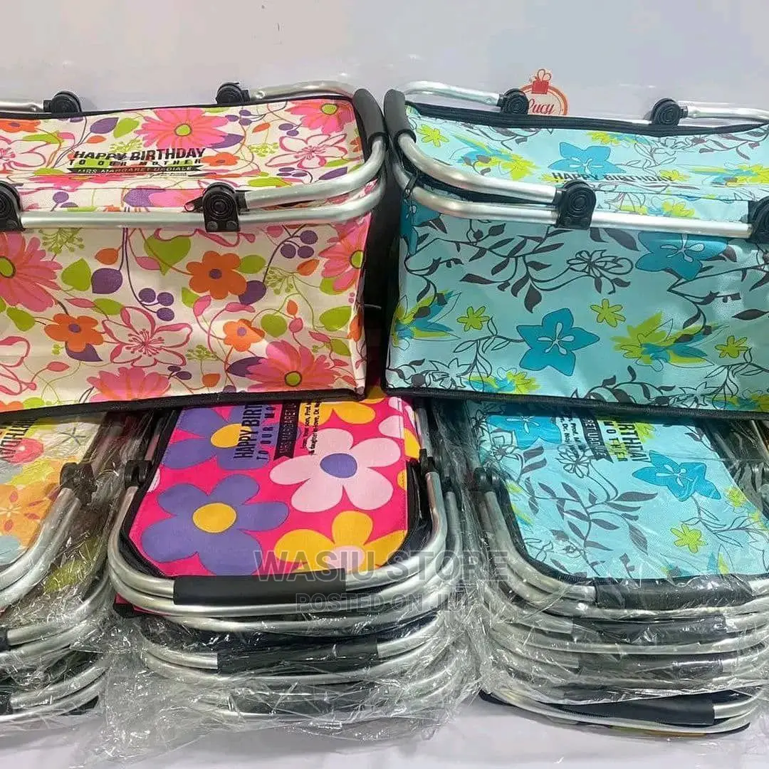 Multifunctional Picnic Bag