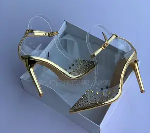 Transparent Classic Shoes