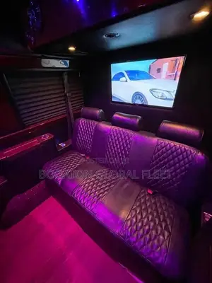 Vip Mercedes Sprinter for Rent