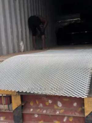 Expanded Mesh
