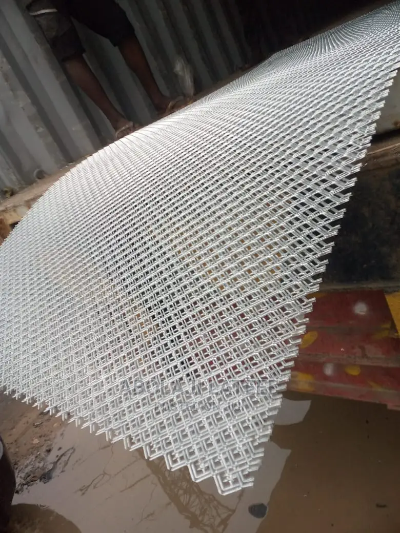 Expanded Mesh