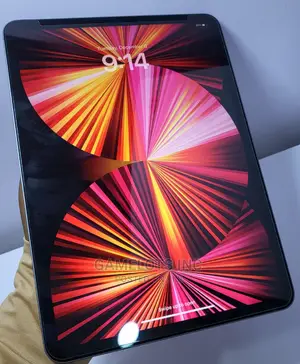 Apple iPad Pro 11 (2021) 256 GB Gray