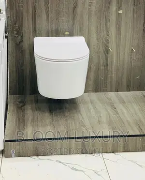 England Conceal Toilet