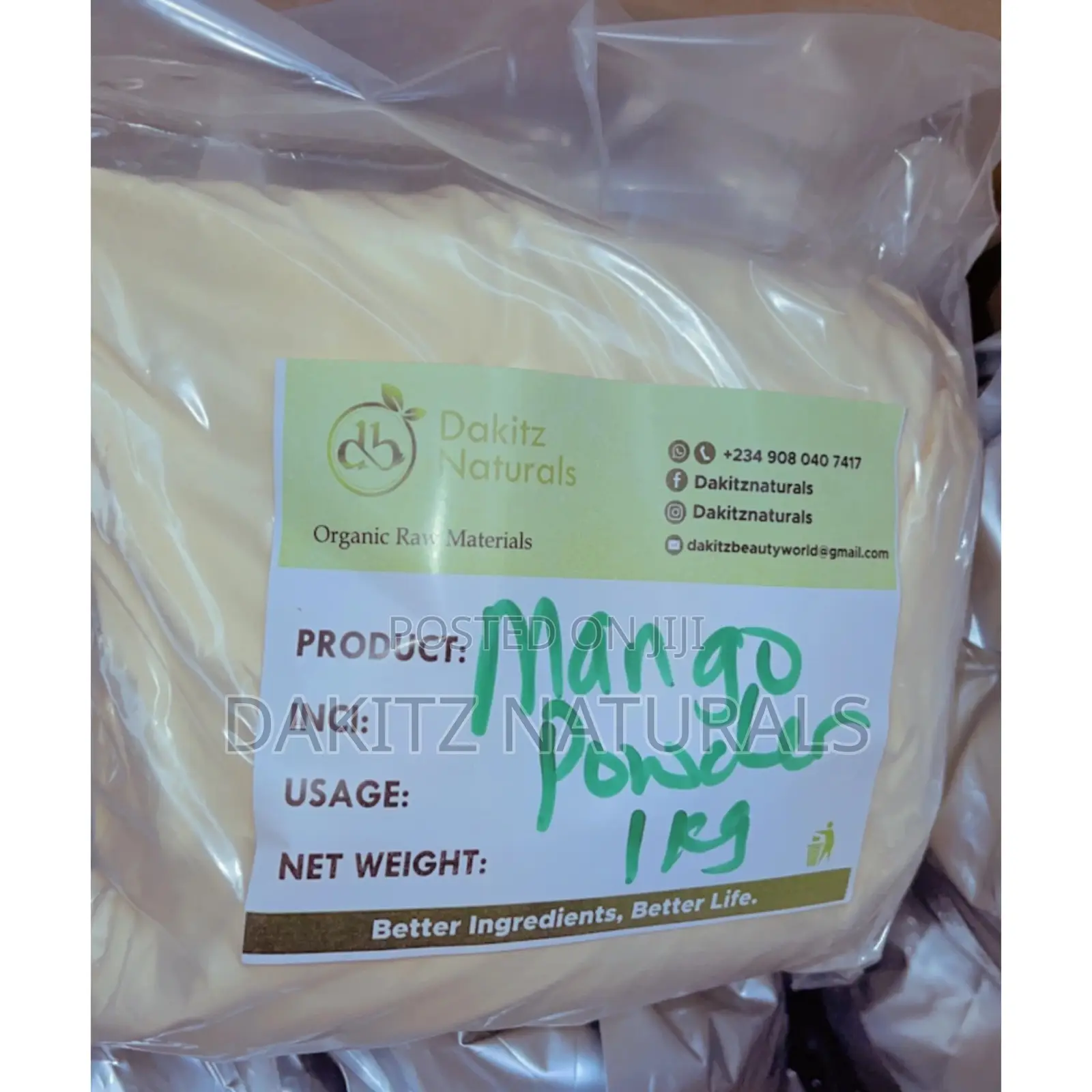 Mango Fruit Powder 1kg