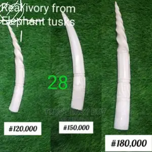 Elephant Tusk