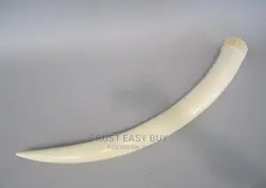 Elephant Tusk