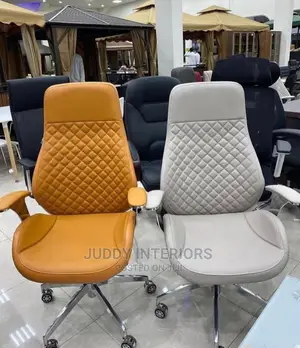Directors Office Executive Chair
