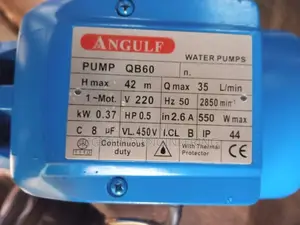 0.5hp Angulf Water Pump