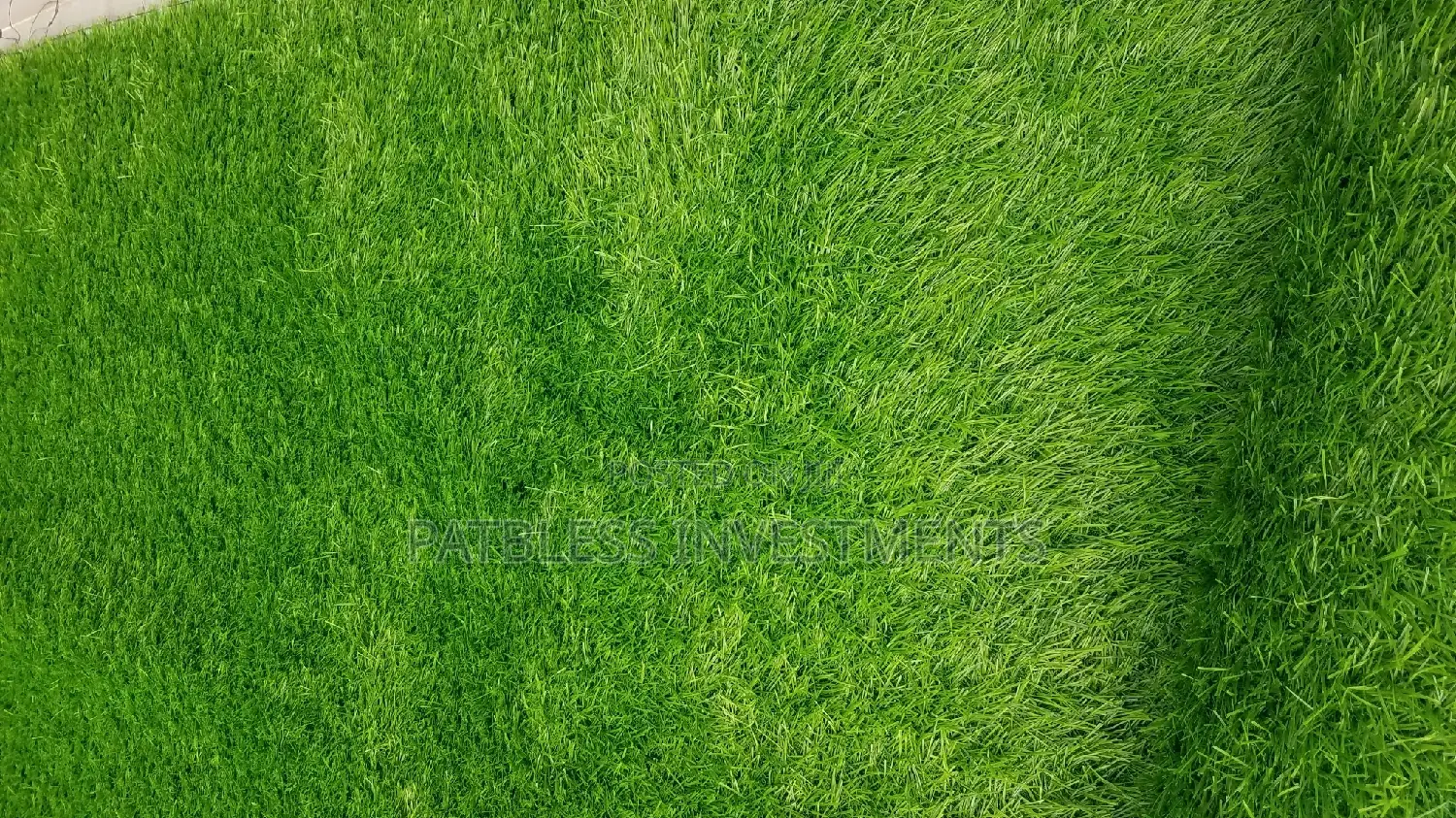Grass Carpet, #7000 Per SQM 30mm