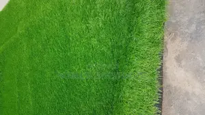 Grass Carpet, #7000 Per SQM 30mm