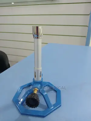 Bunsen Burner Lab