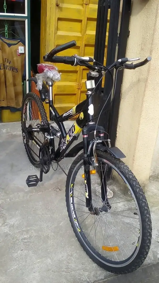 Adult Bicycle