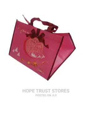 Fancy Shopping Bag 12 Pce