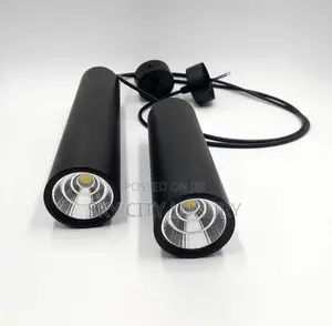 Led Pendant Light