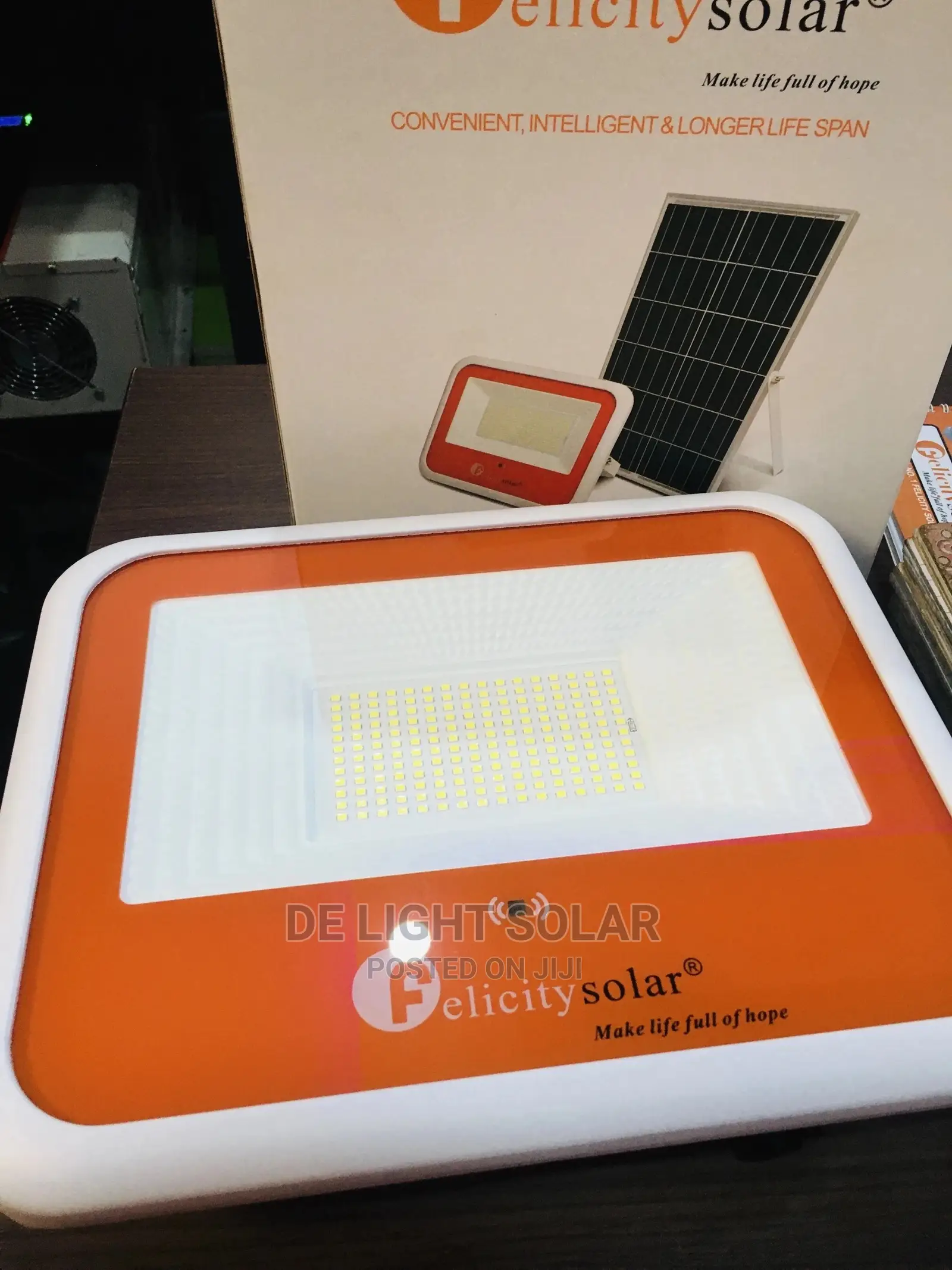 Solar Flood Light