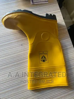 Original Ordinary Rain Boot