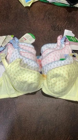 Nursing Bra (Half Dozen 6pcs)