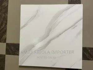 60*60 Unglazed Tiles