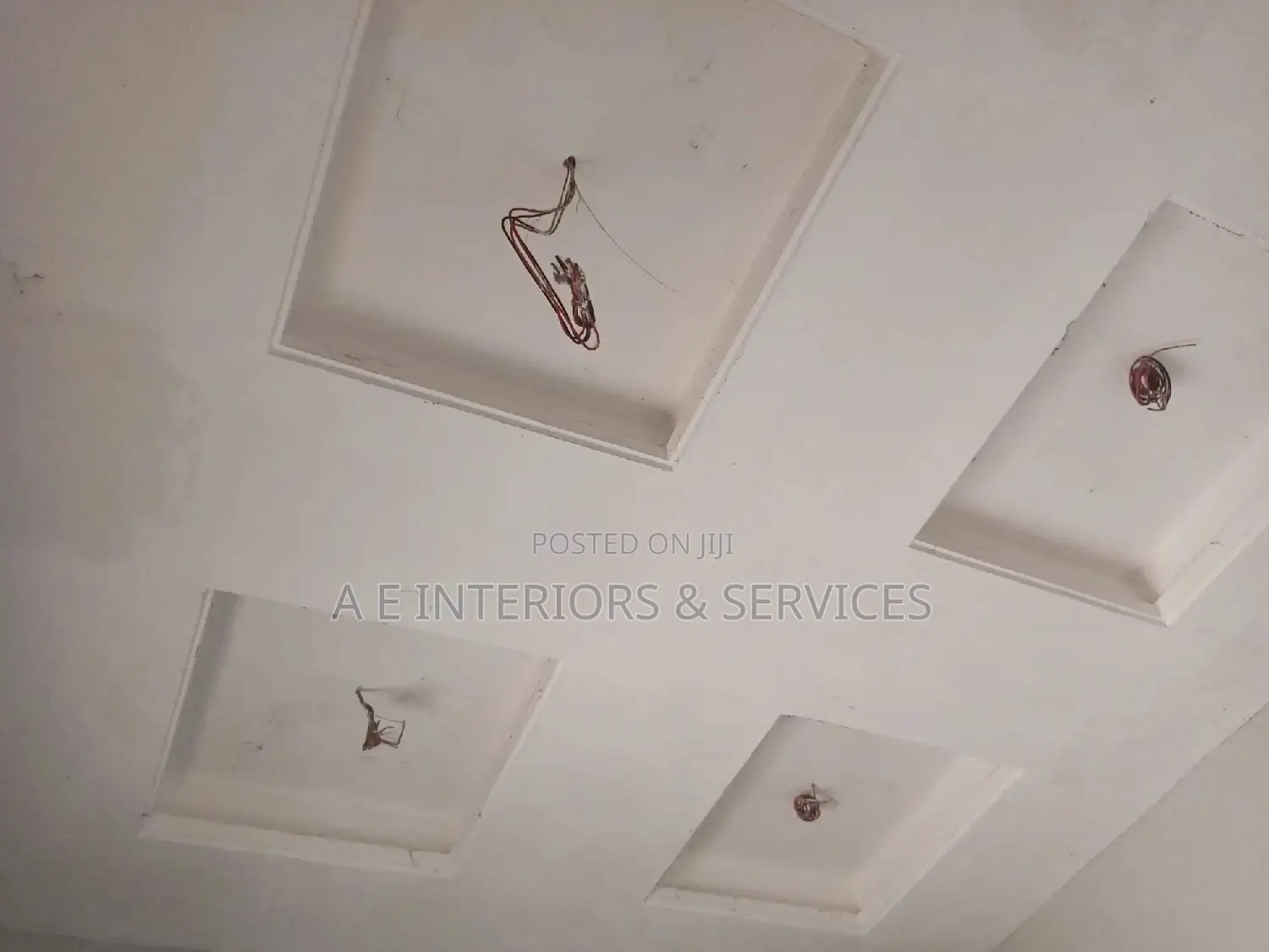 Professional Wall Screeding